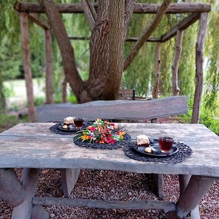 Stara Szkolas7 Noclegi,Mzajezierze 8 14-330 Mazury Малдыты Экстерьер фото
