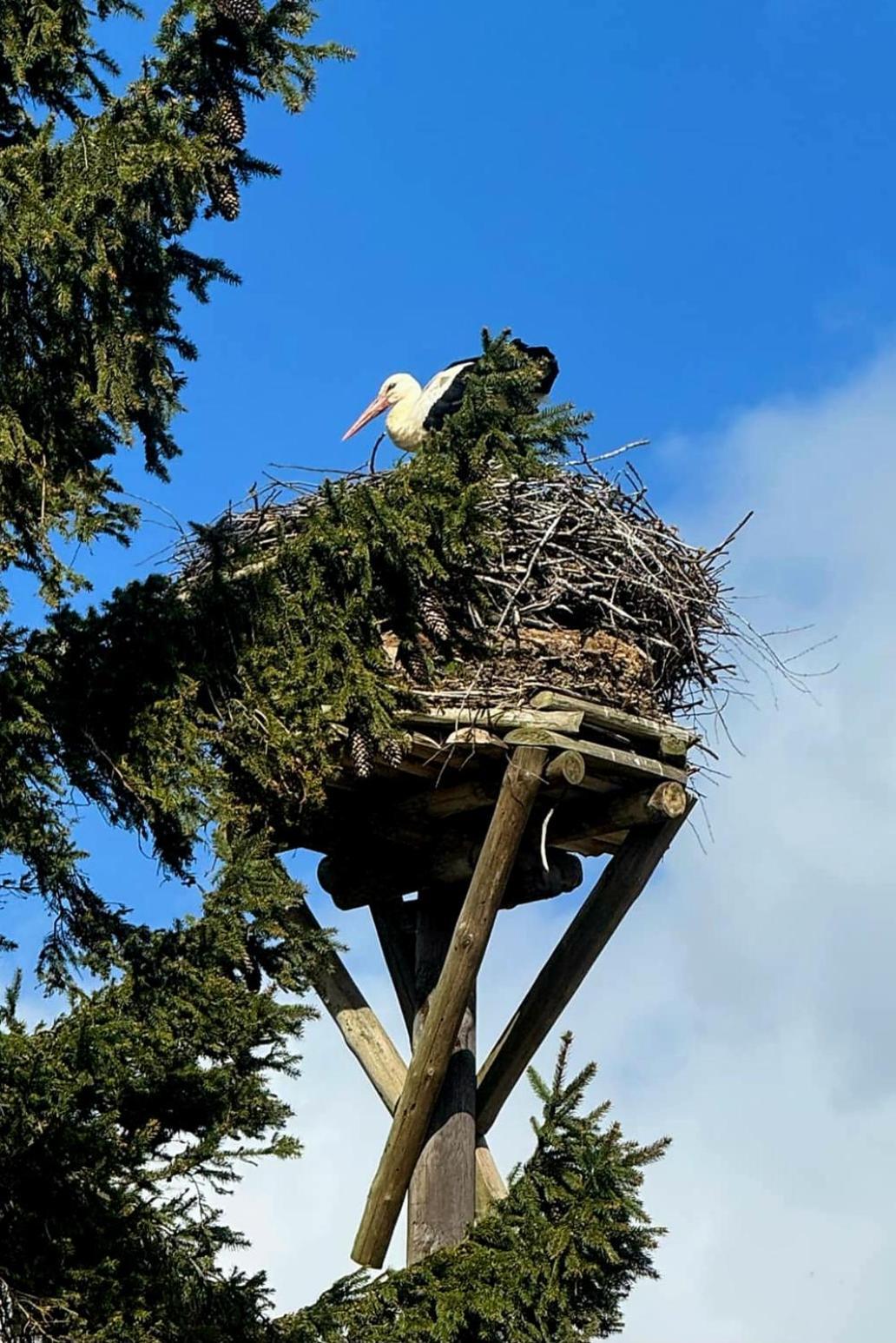 Stara Szkolas7 Noclegi,Mzajezierze 8 14-330 Mazury Малдыты Экстерьер фото